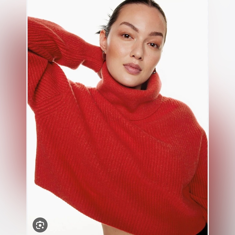 Aritzia babaton Guell Luxe Cashmere sweater